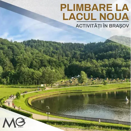 Mohost Dany - Cozy High-rise Getaway With Balcony Brasov